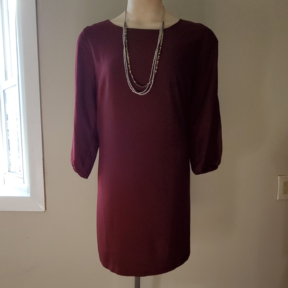 Short Maroon Dress